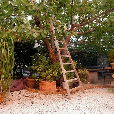 Jardin Vieux Port Panier Hotell Marseille Eksteriør bilde