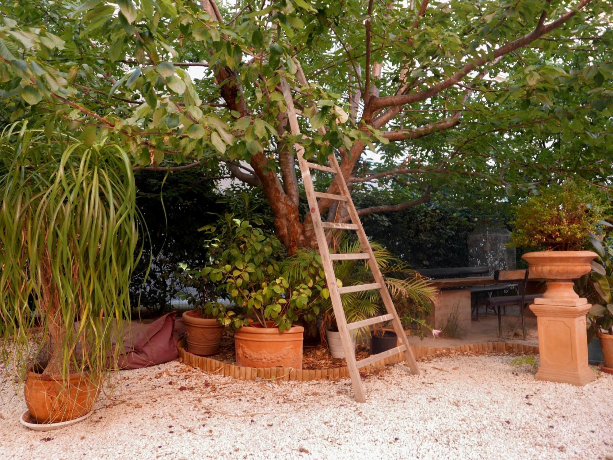 Jardin Vieux Port Panier Hotell Marseille Eksteriør bilde