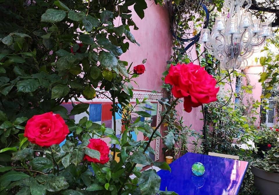 Jardin Vieux Port Panier Hotell Marseille Eksteriør bilde